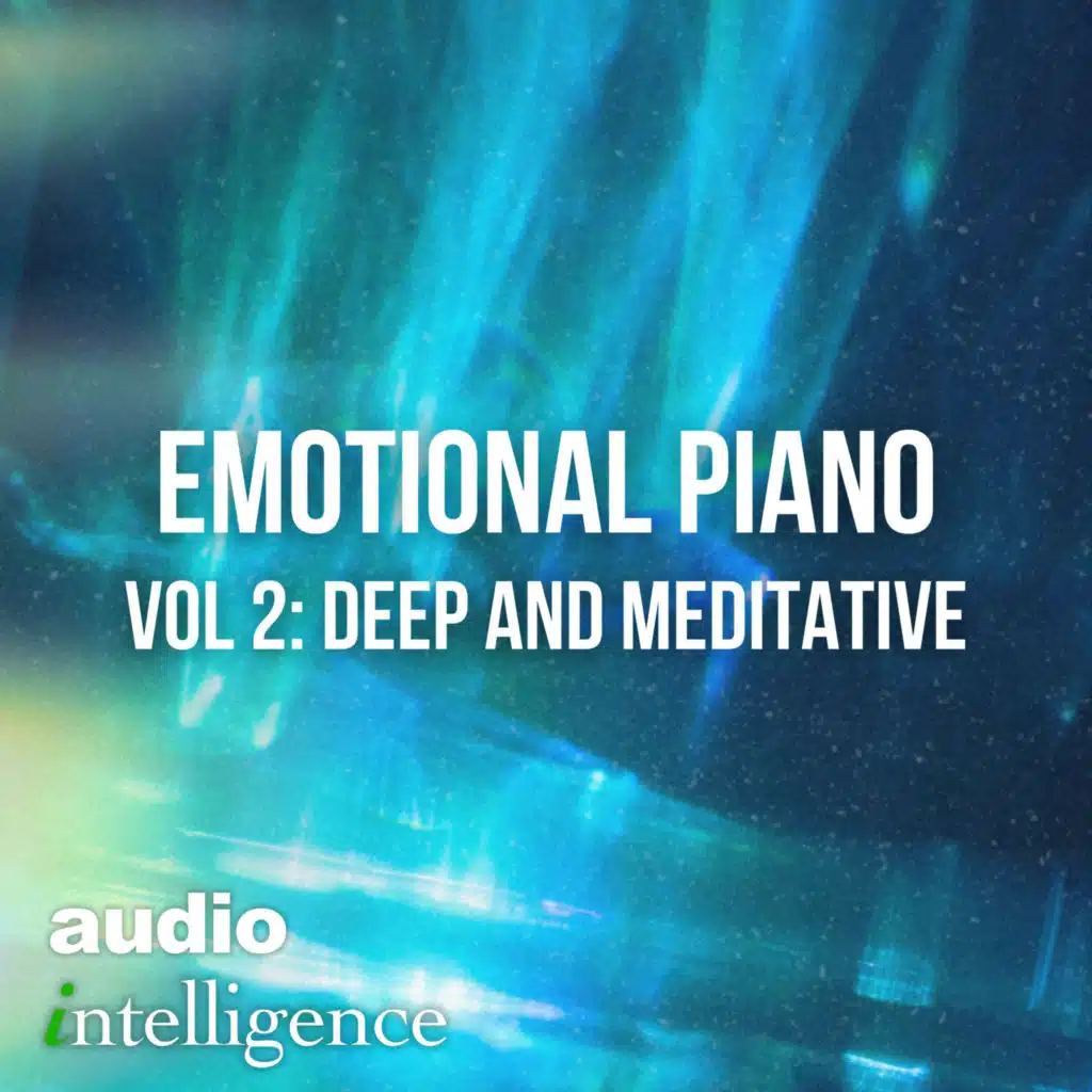 Audio Intelligence & Christian Tschuggnall