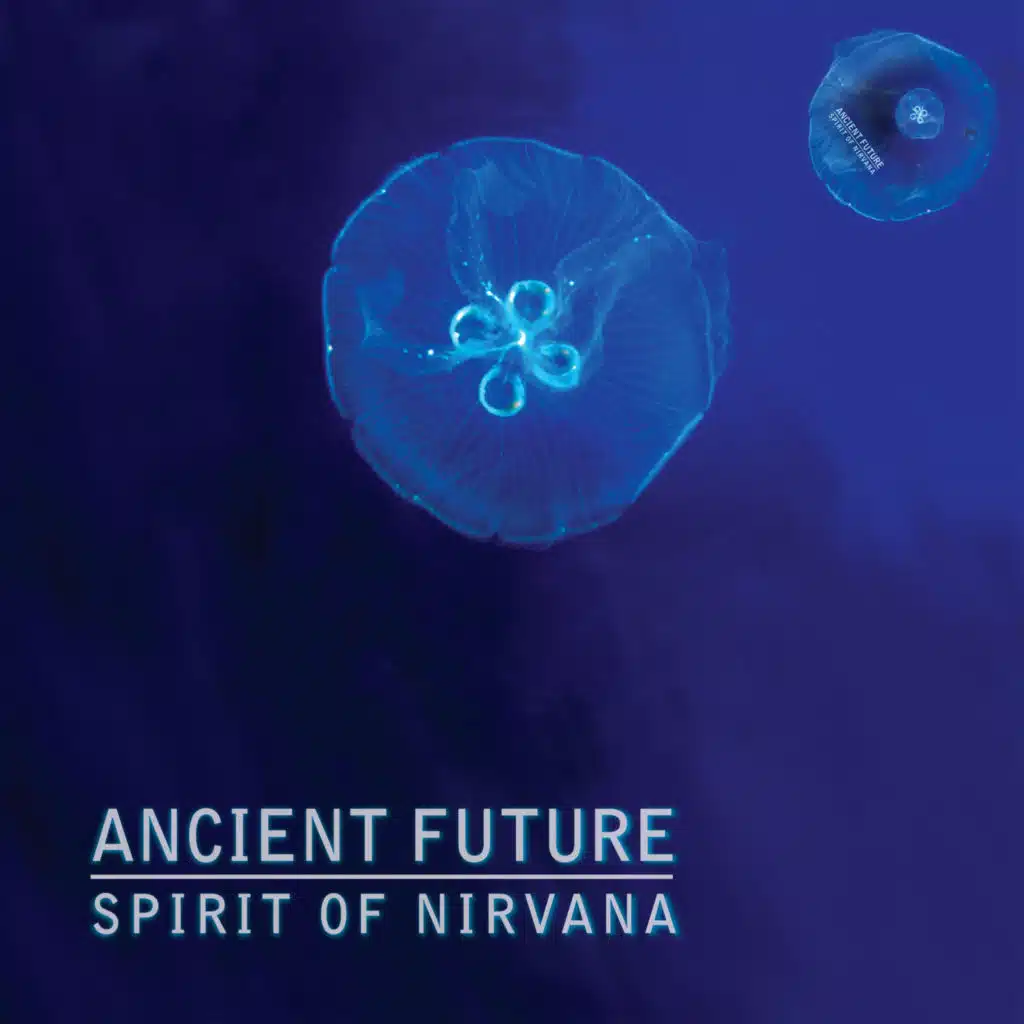 Spirit of Nirvana (Extended Intro & Radio Edit) [feat. Matthew Montfort, Mariah Parker & Benjy Wertheimer]