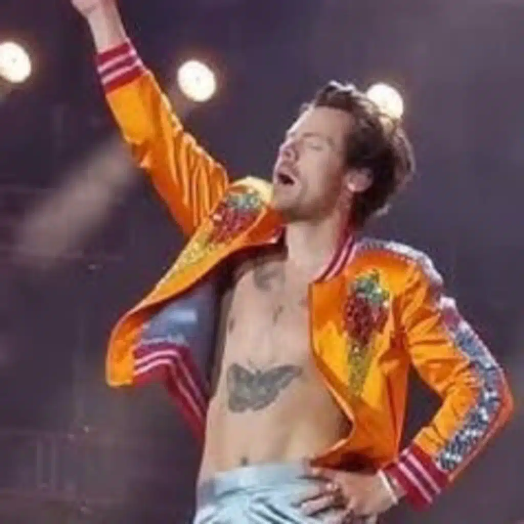 Harry Styles - Hunger