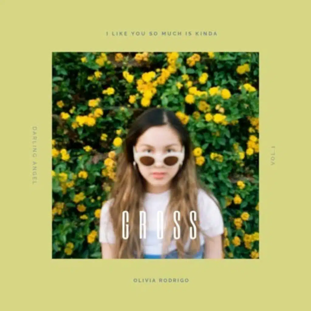 Olivia Rodrigo - Gross