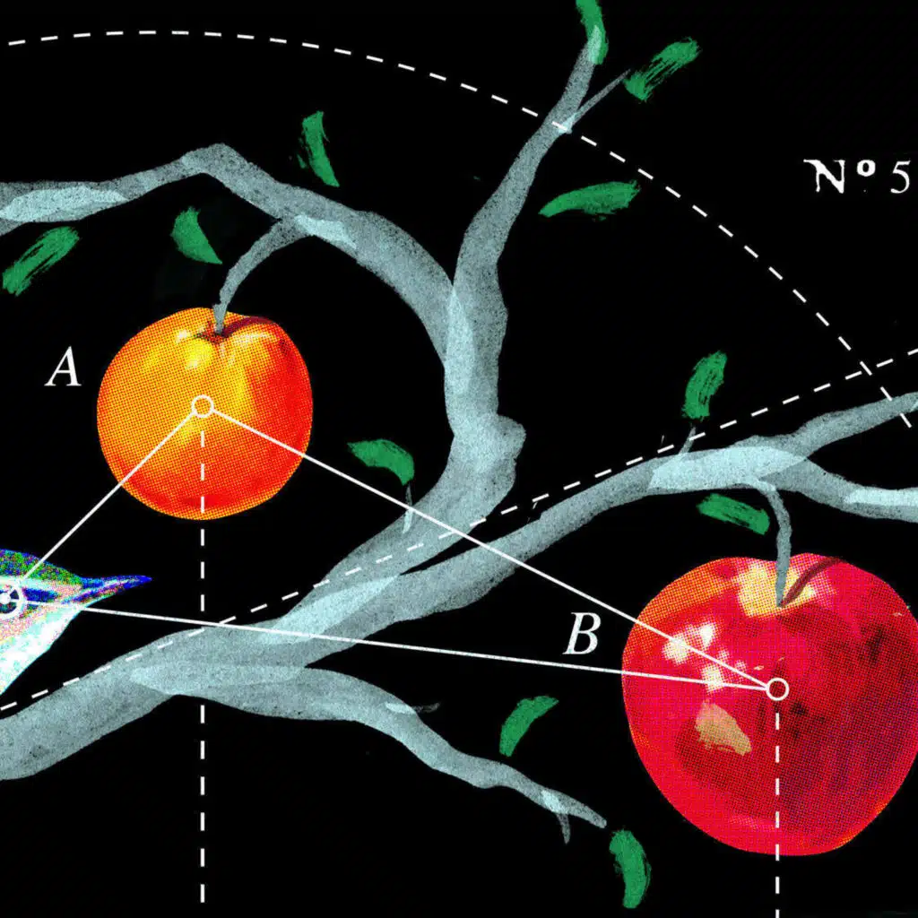 The Power Of Categories