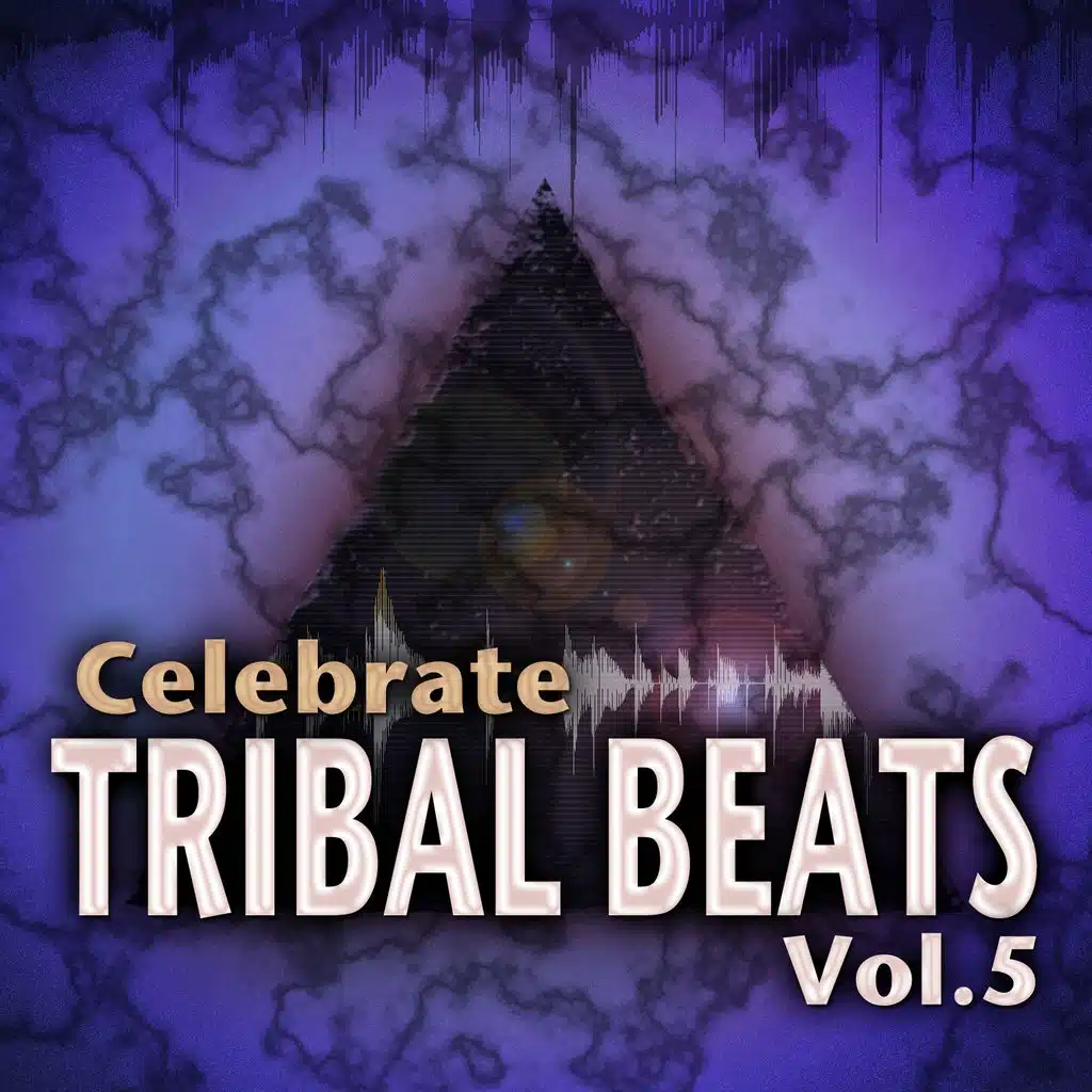 Celebrate Tribal Beats, Vol. 5 - Collection from Progressive to Tech House With Jazzy Latin Tribal Influences