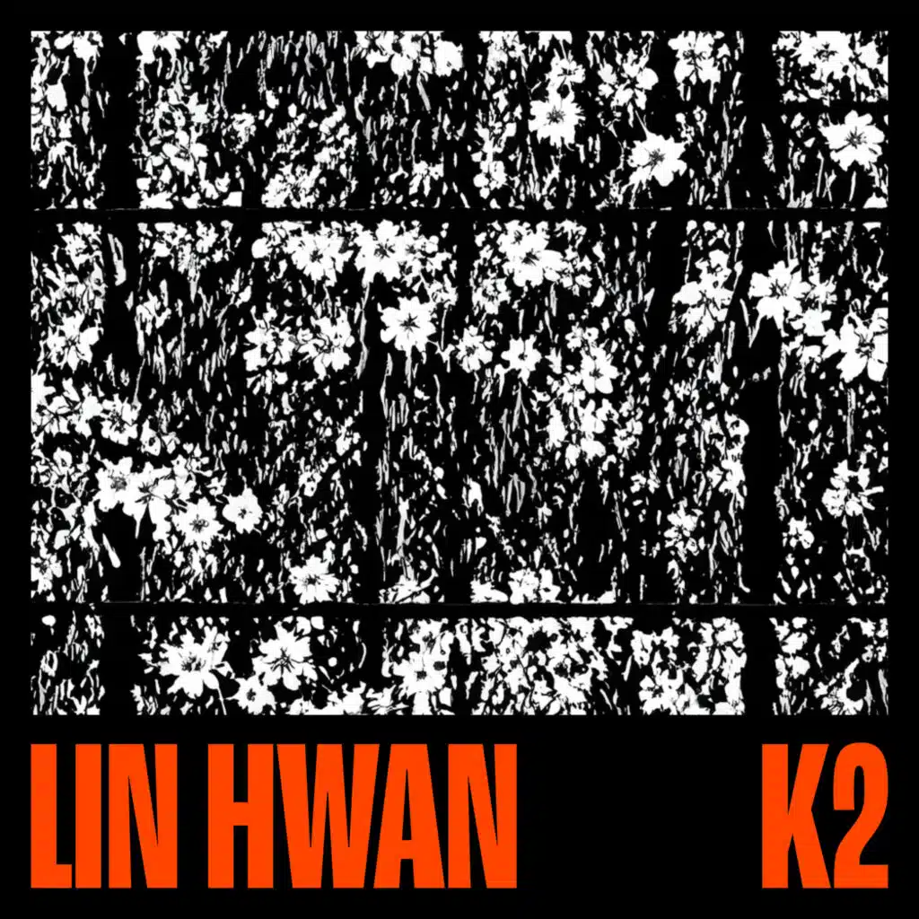 Lin Hwan