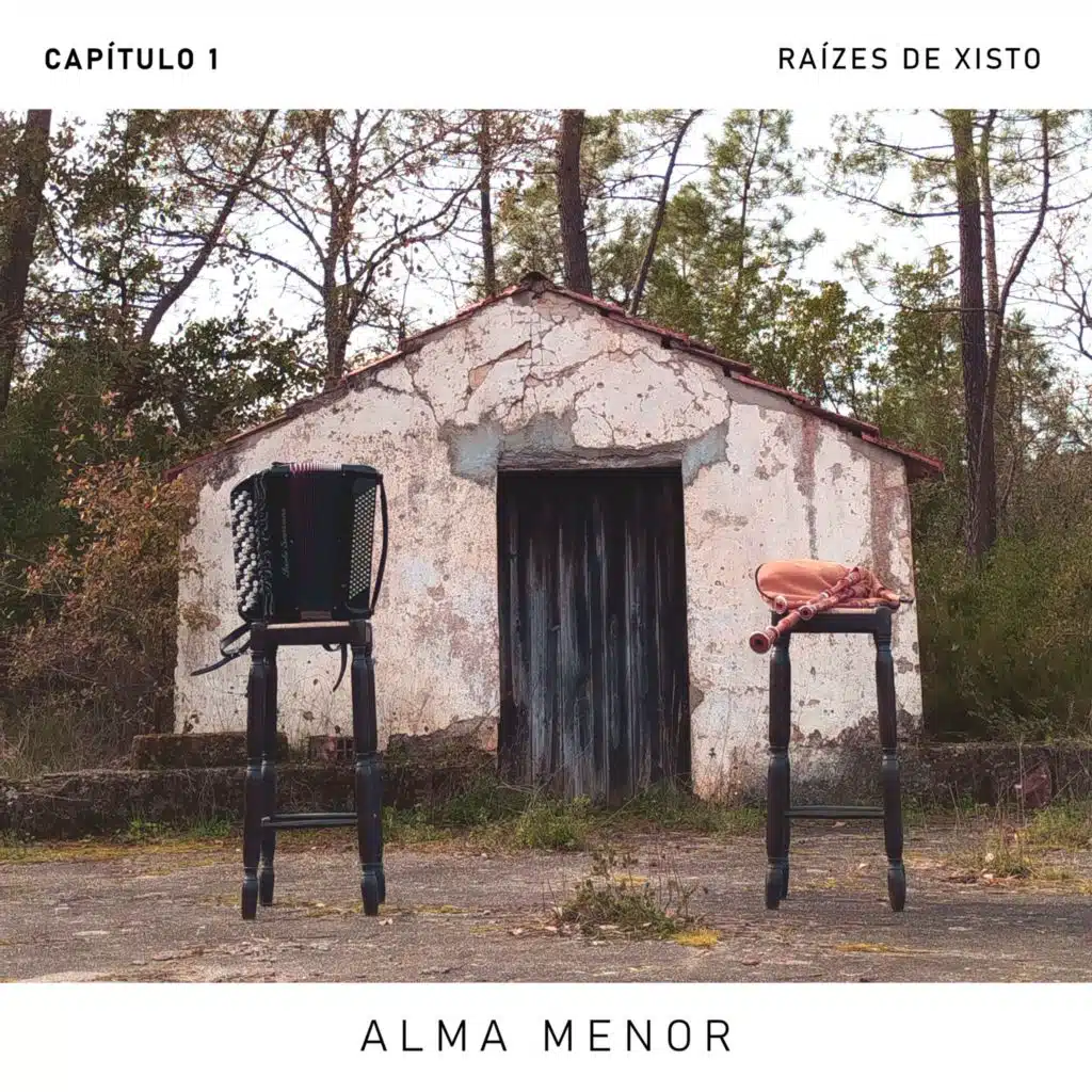 Alma menor