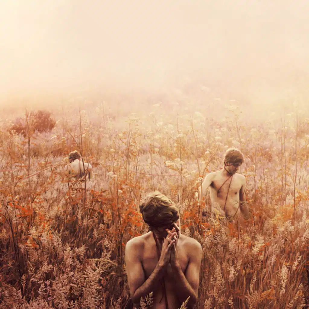 Image of Sentimentals