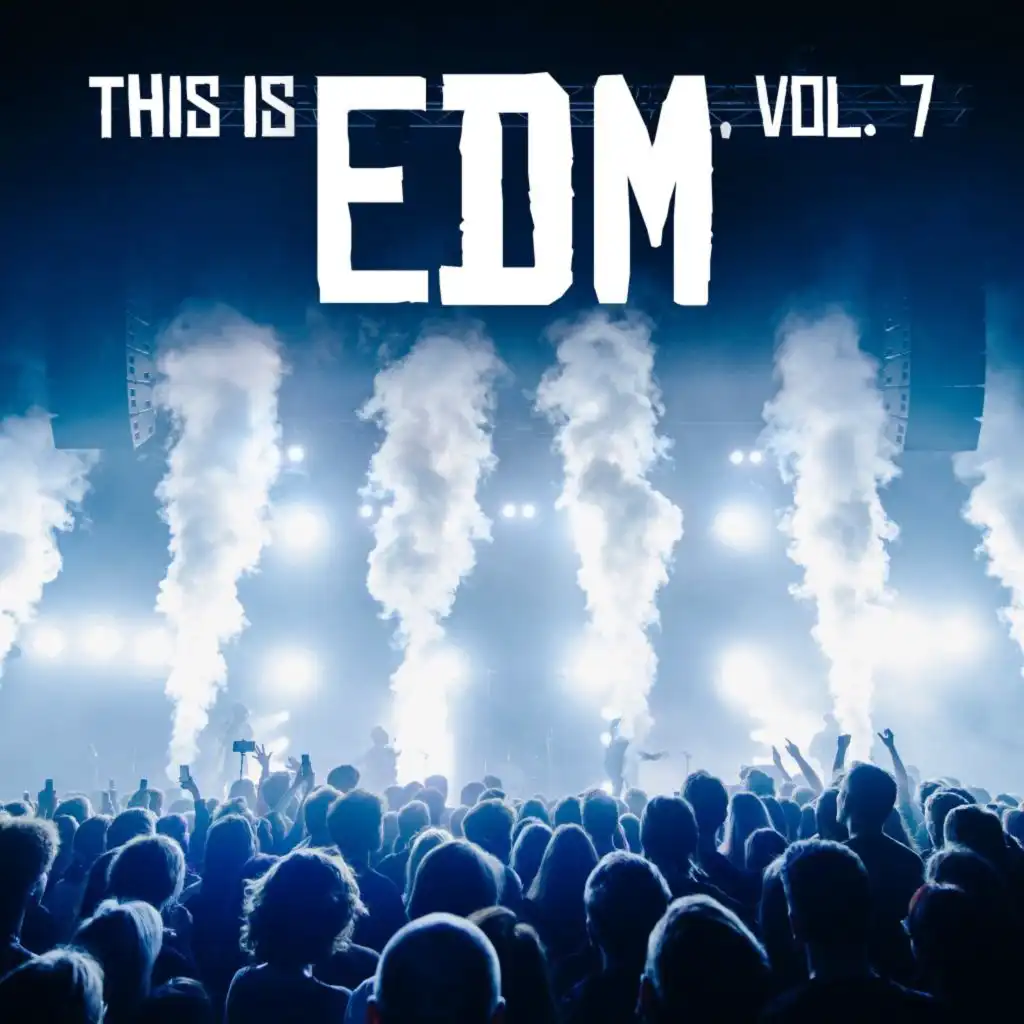 This Is EDM, Vol. 7