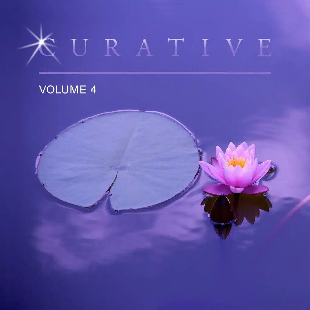 Curative, Vol. 4