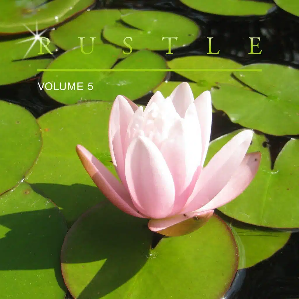 Rustle, Vol. 5