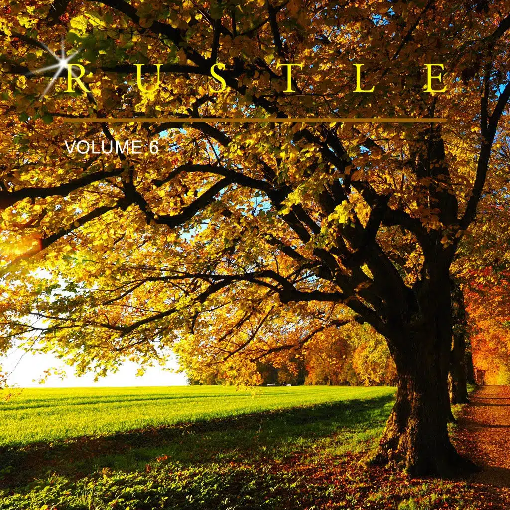 I Wanna Play Steel Drums or Pans in America