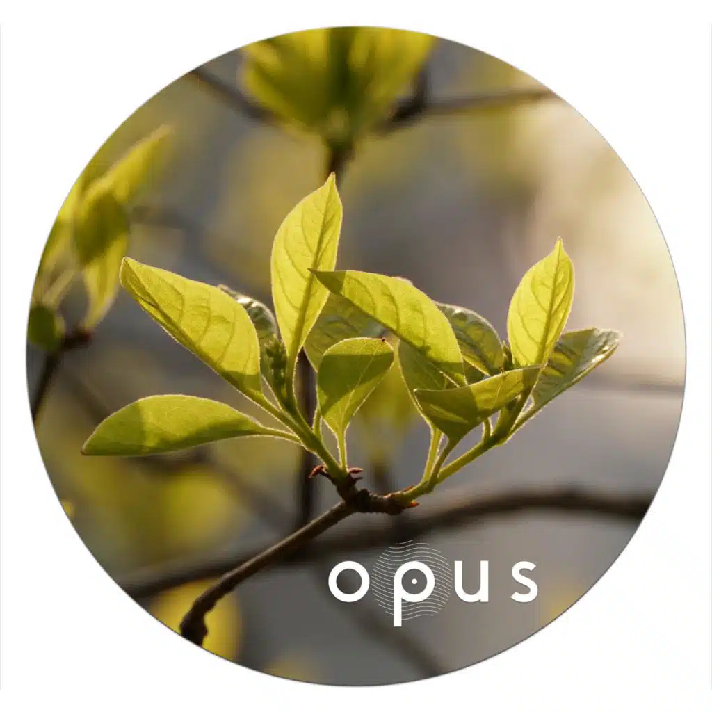 OPUS010