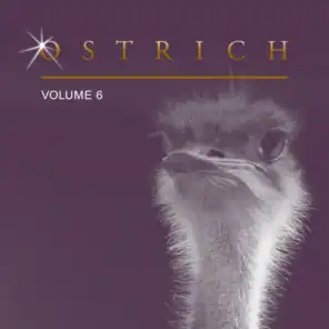 Ostrich, Vol. 6