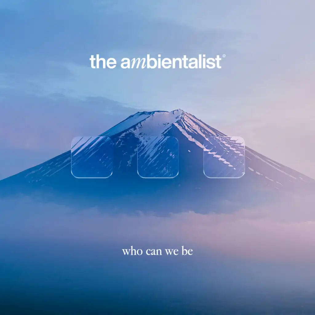 The Ambientalist