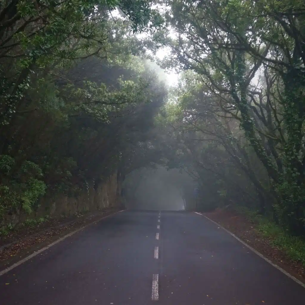 Navigating uncertainty in 2025