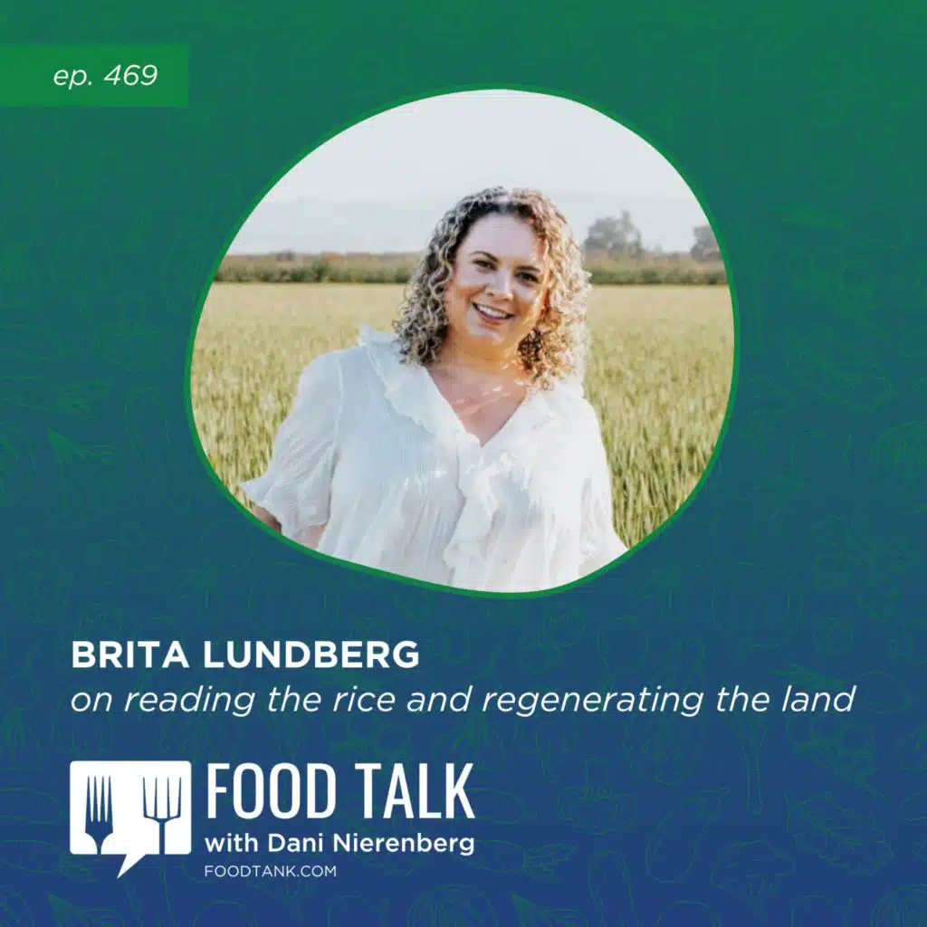469. Brita Lundberg on Reading the Rice and Regenerating the Land