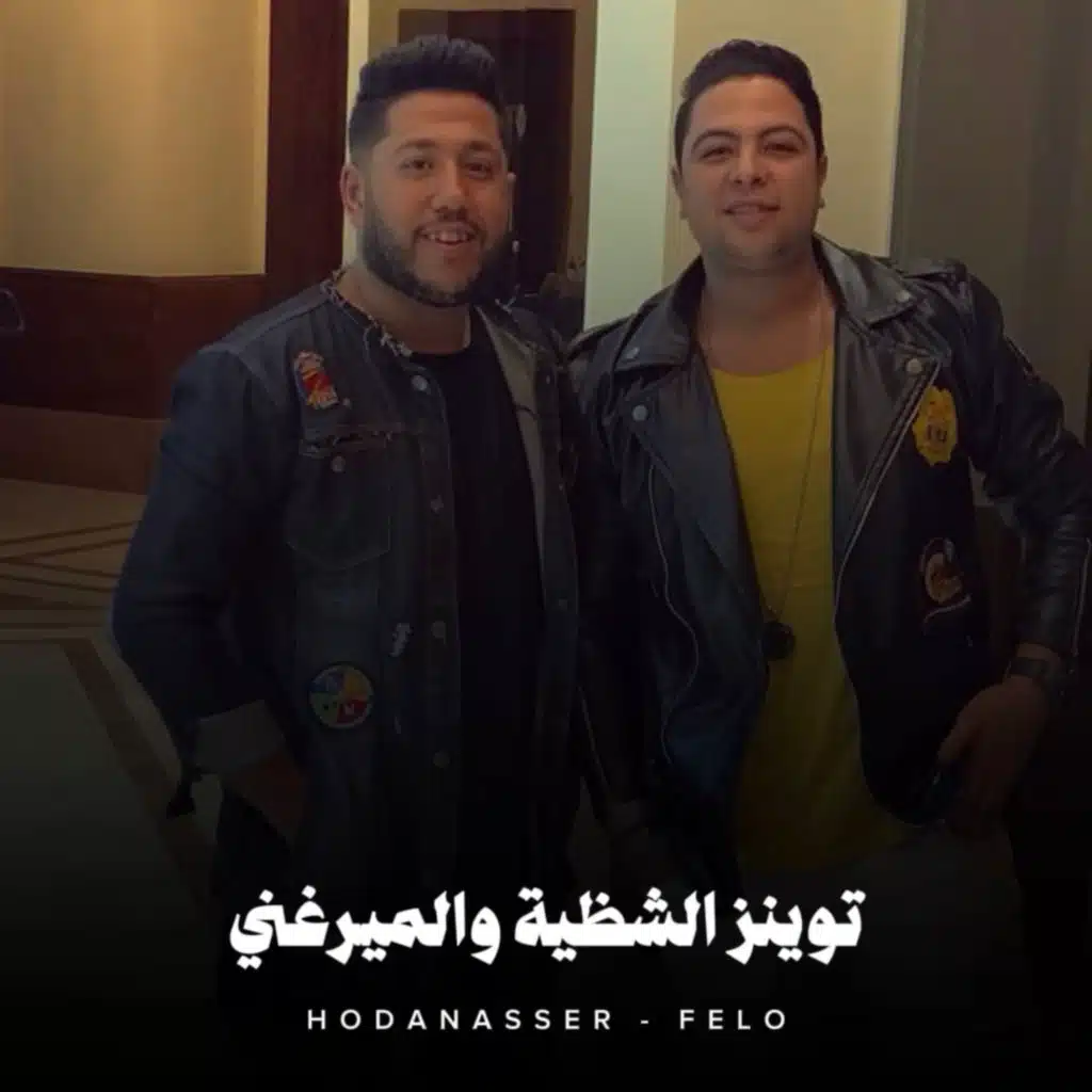 توينز الشظية والميرغني