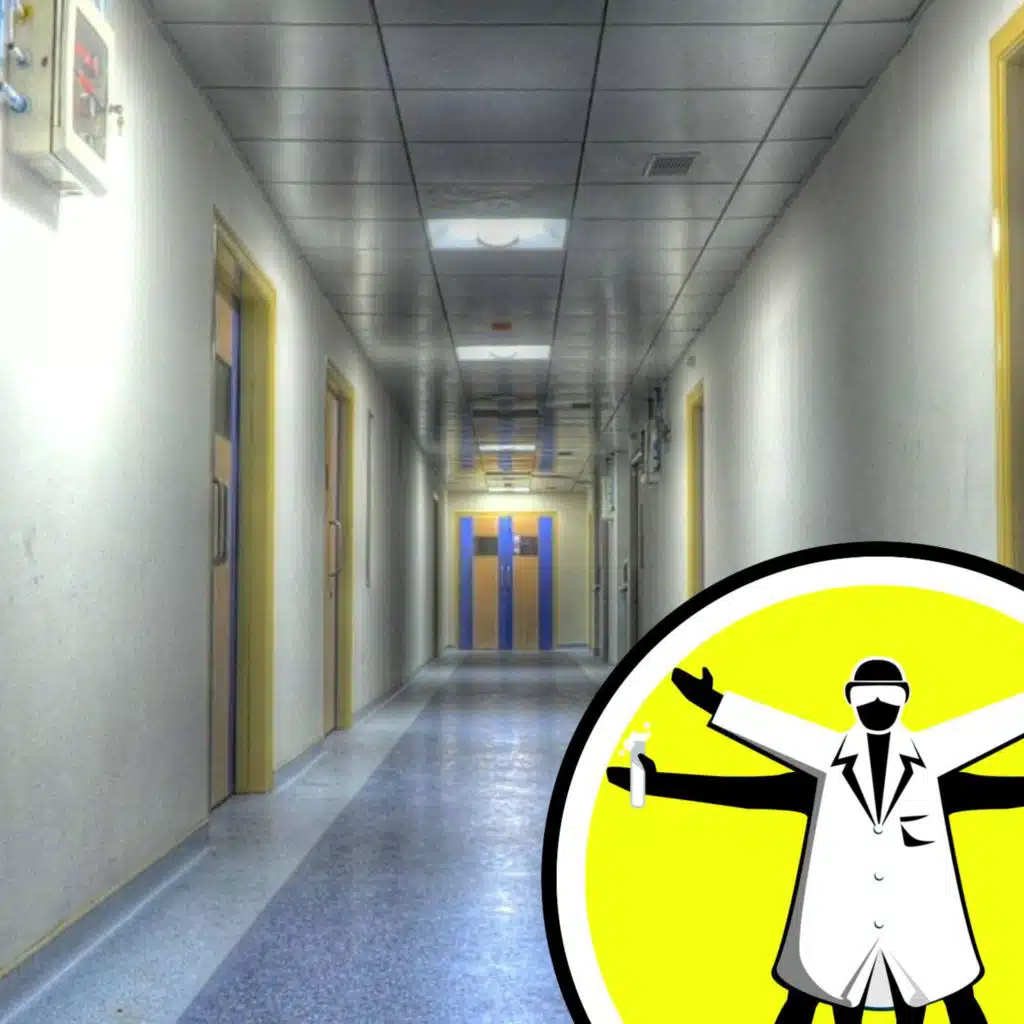 Bird flu threat, and what the Romans really did for us