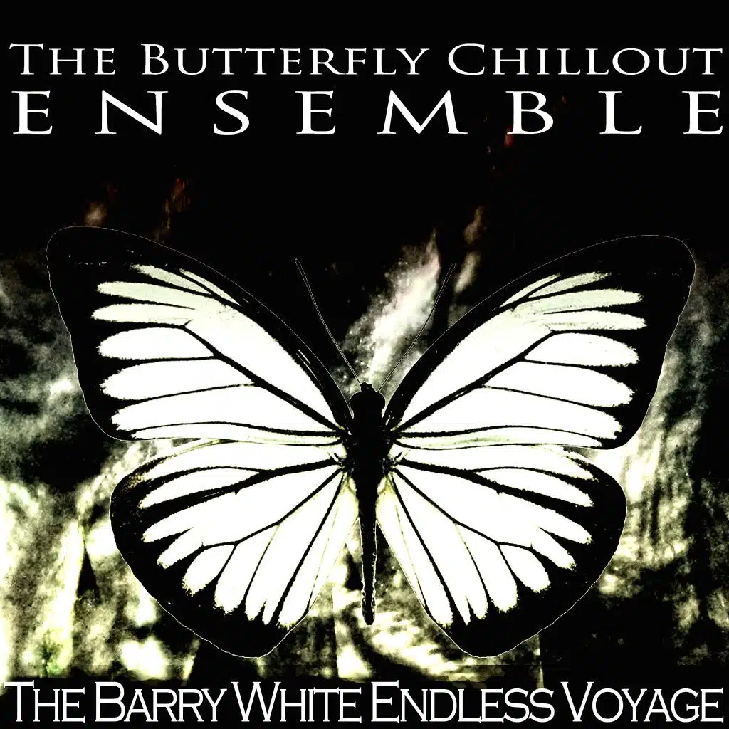 The Barry White Endless Voyage