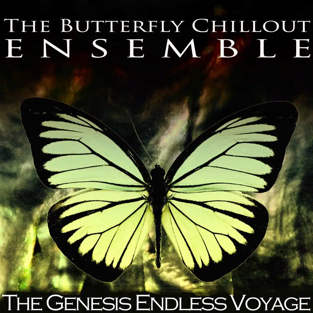 Follow You, Follow Me