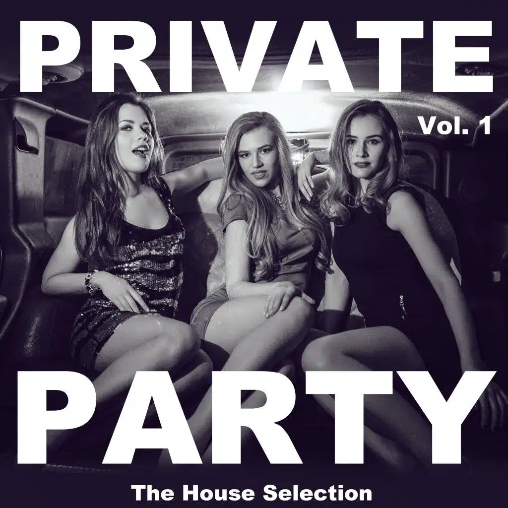 Private Party, Vol. 1