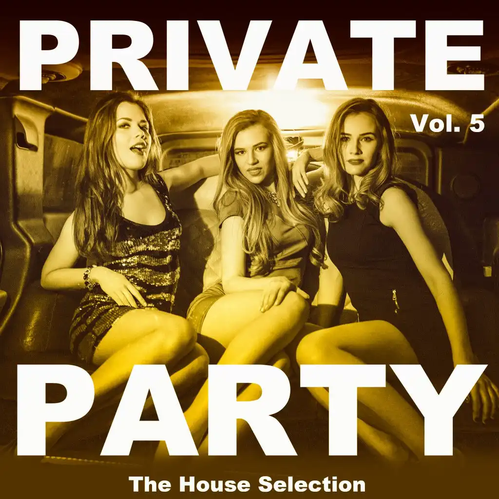 Private Party, Vol. 5