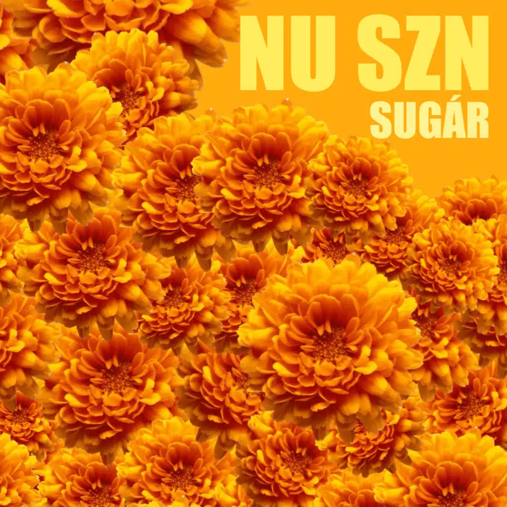 SUGÁR