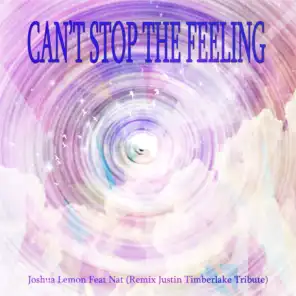 Can't Stop the Feeling (Remix Justin Timberlake Tribute)