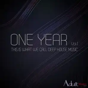 One Year,  Vol.1 - This Is What We Call Deep House Music