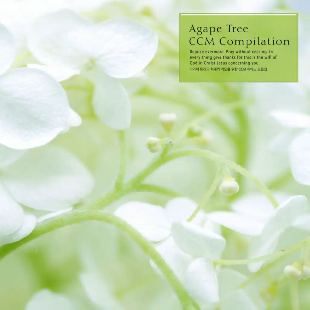 CCM Piano Collection for Agape Tree's Repentance and Prayer