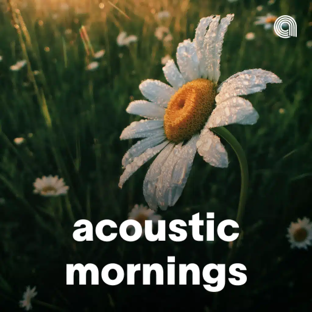 Acoustic Mornings
