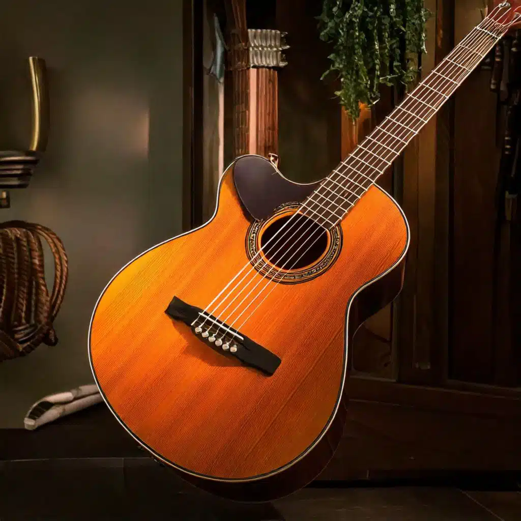 Acoustic Bliss: The Art of Guitar Music