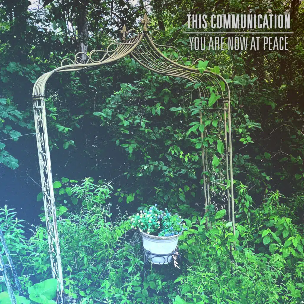 This Communication & Captive Portal