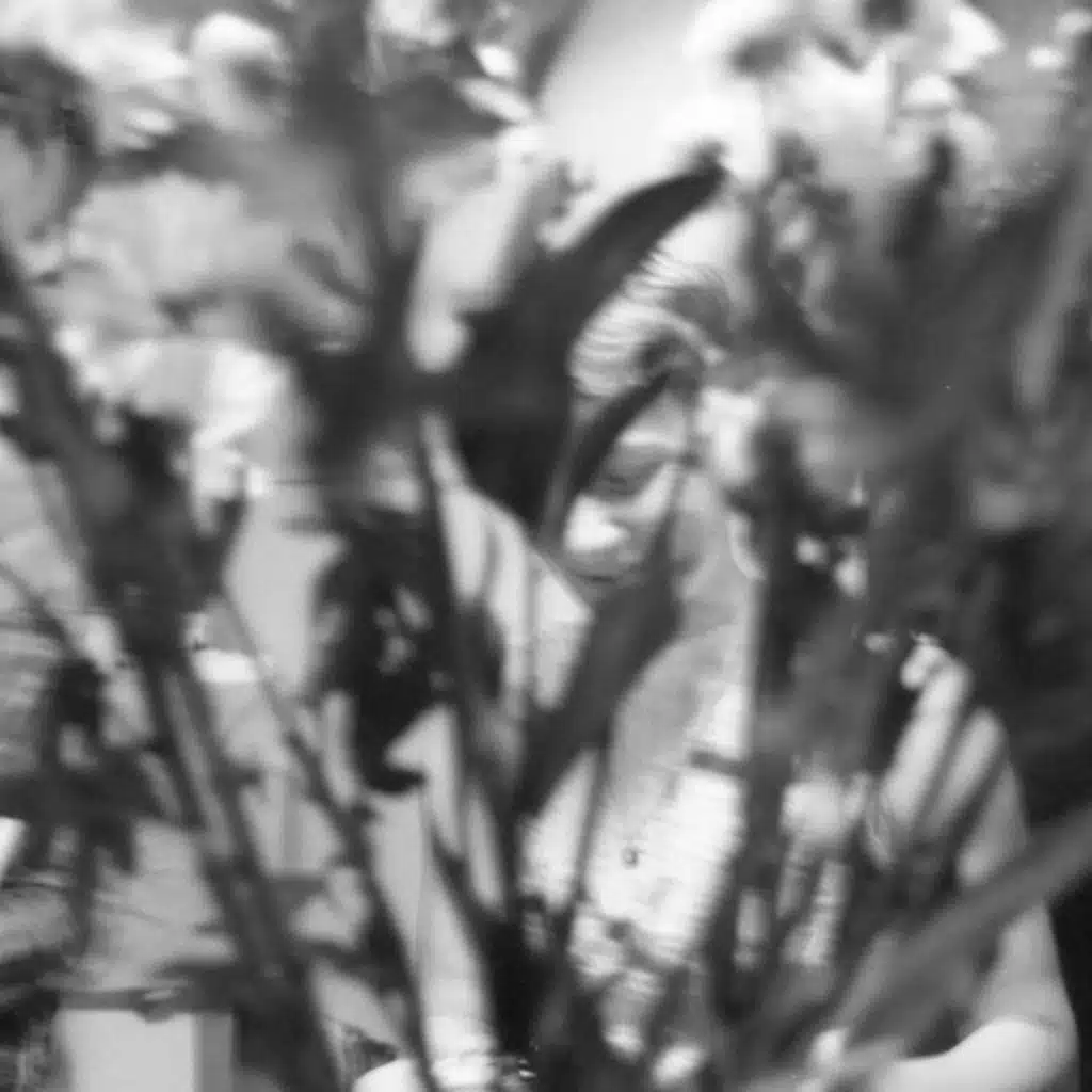 Voicemail / Dehydrated