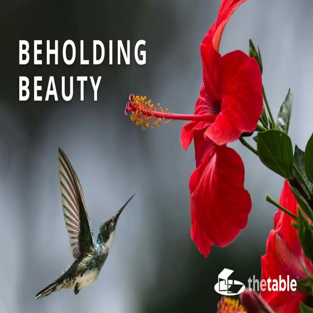 Beholding Beauty