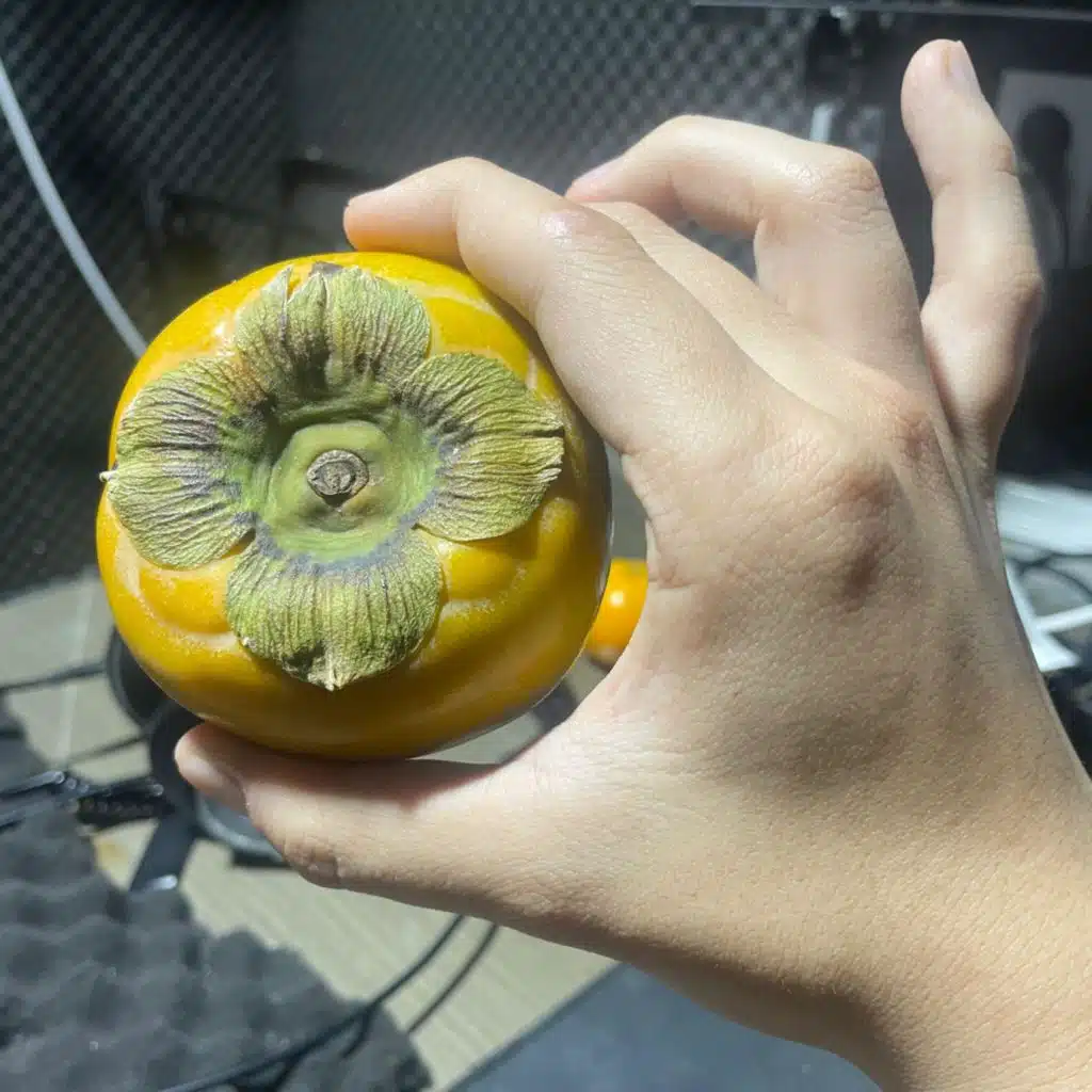 korean sexy boy & NBA YUNGMAN