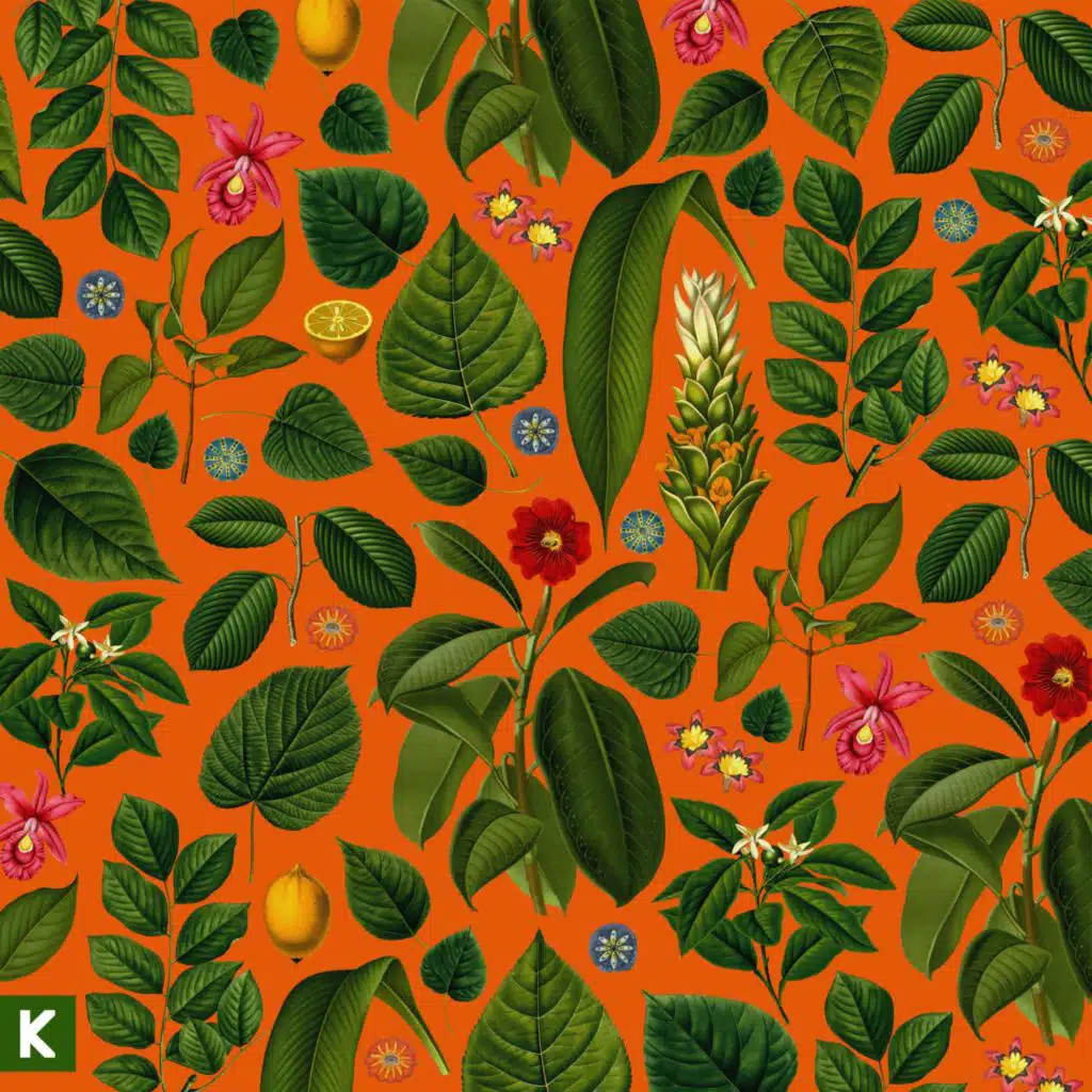 Grace Alone (Instrumental)