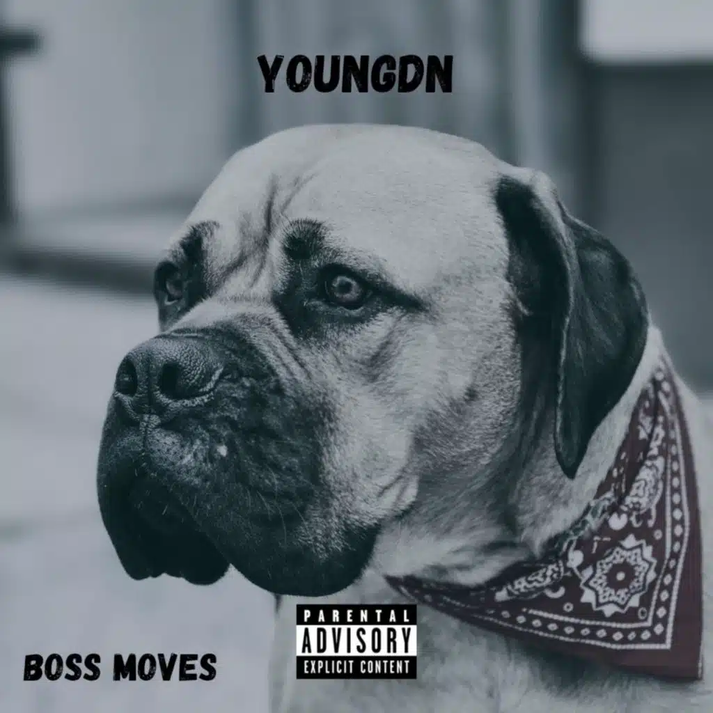 YoungDN