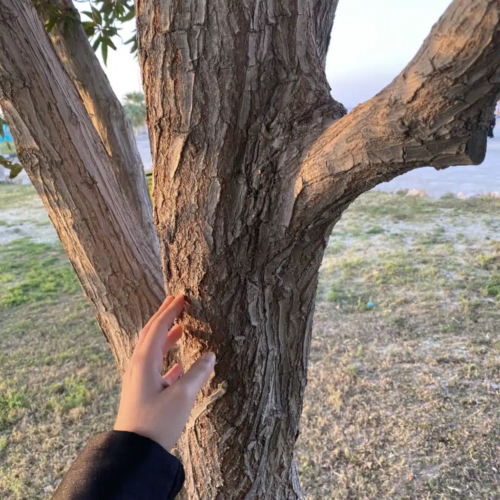 ١٤٨| علامات الشخصية السامة