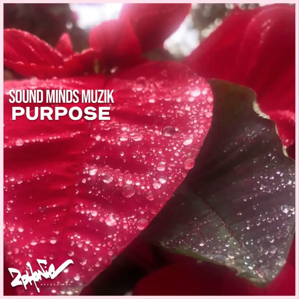 Sound minds Muzik