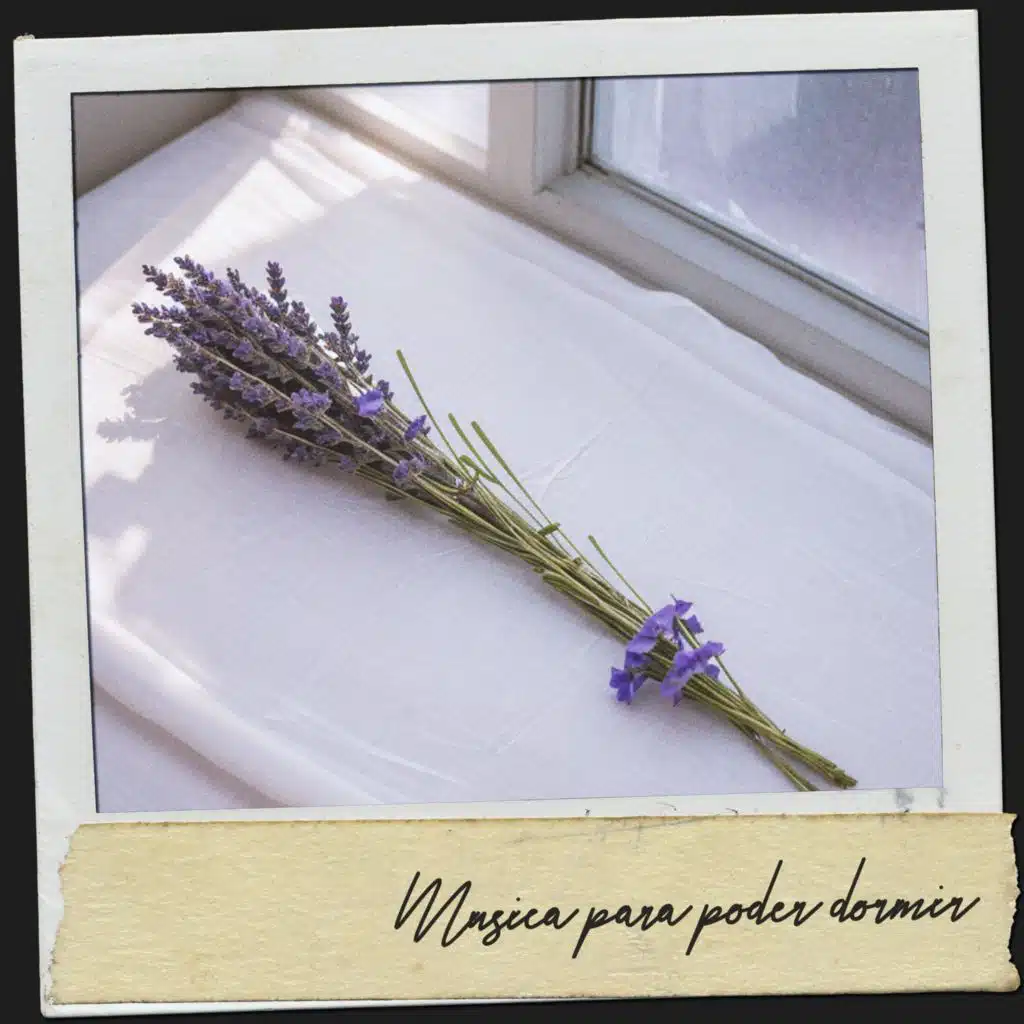 Serenidad en polvo de estrellas