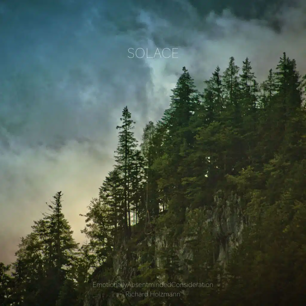 Solace (feat. Richard Holzmann)