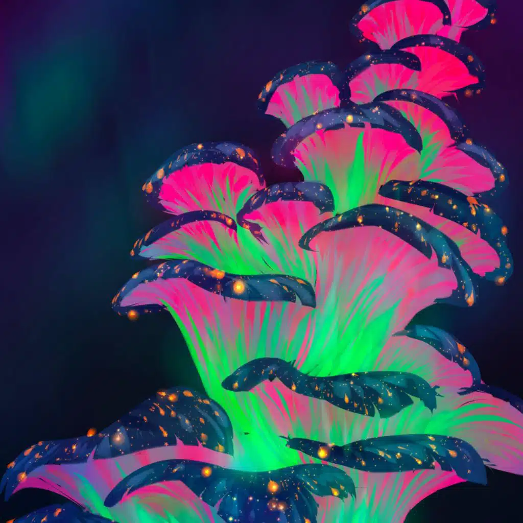 Tom Day & John Pattern