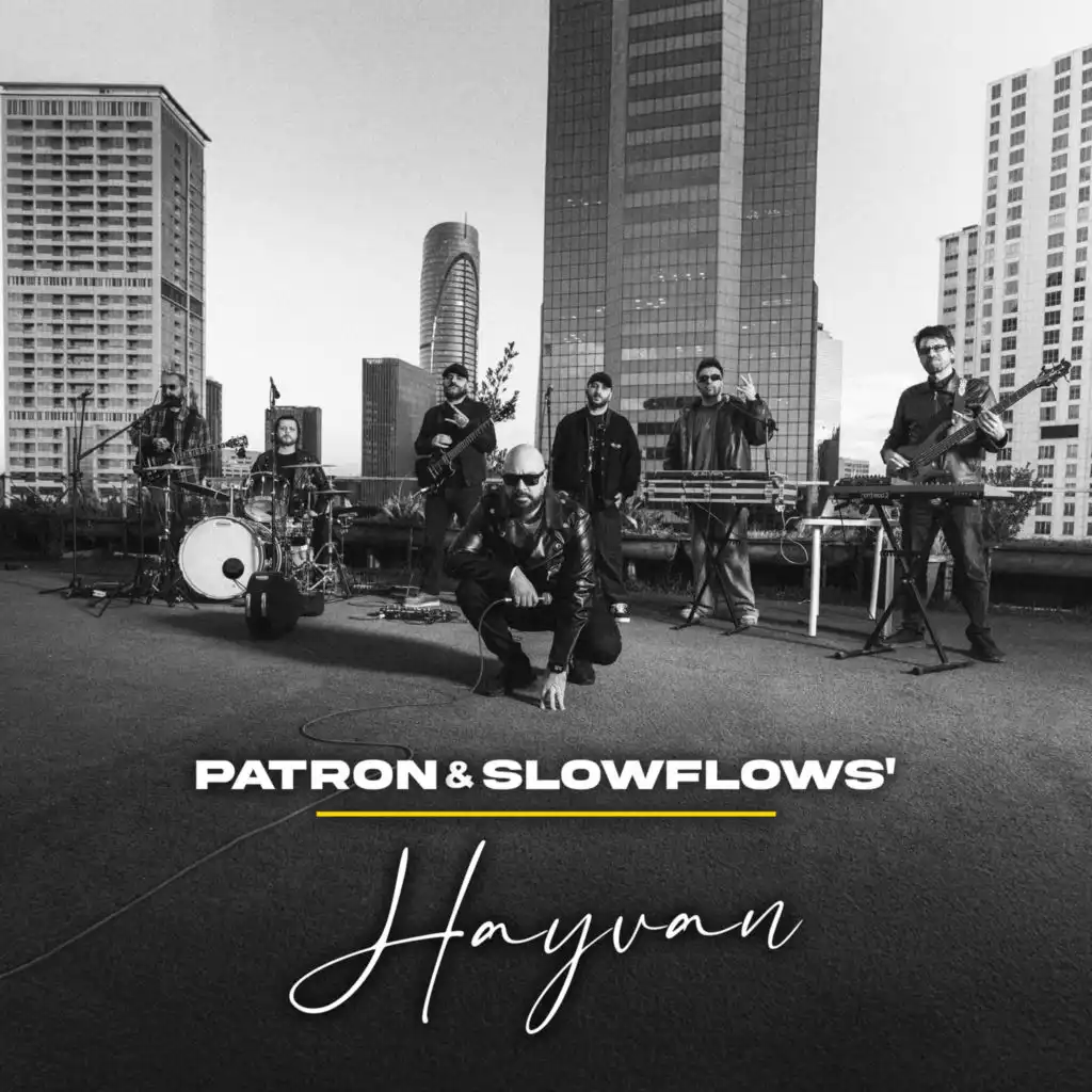 SLOWFLOWS' & Patron