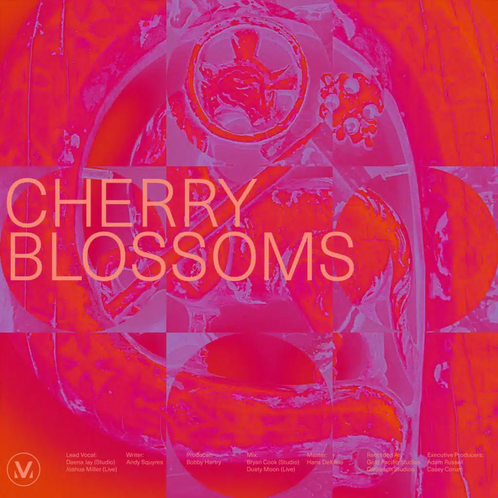 Cherry Blossoms (Live) [feat. Joshua Miller]