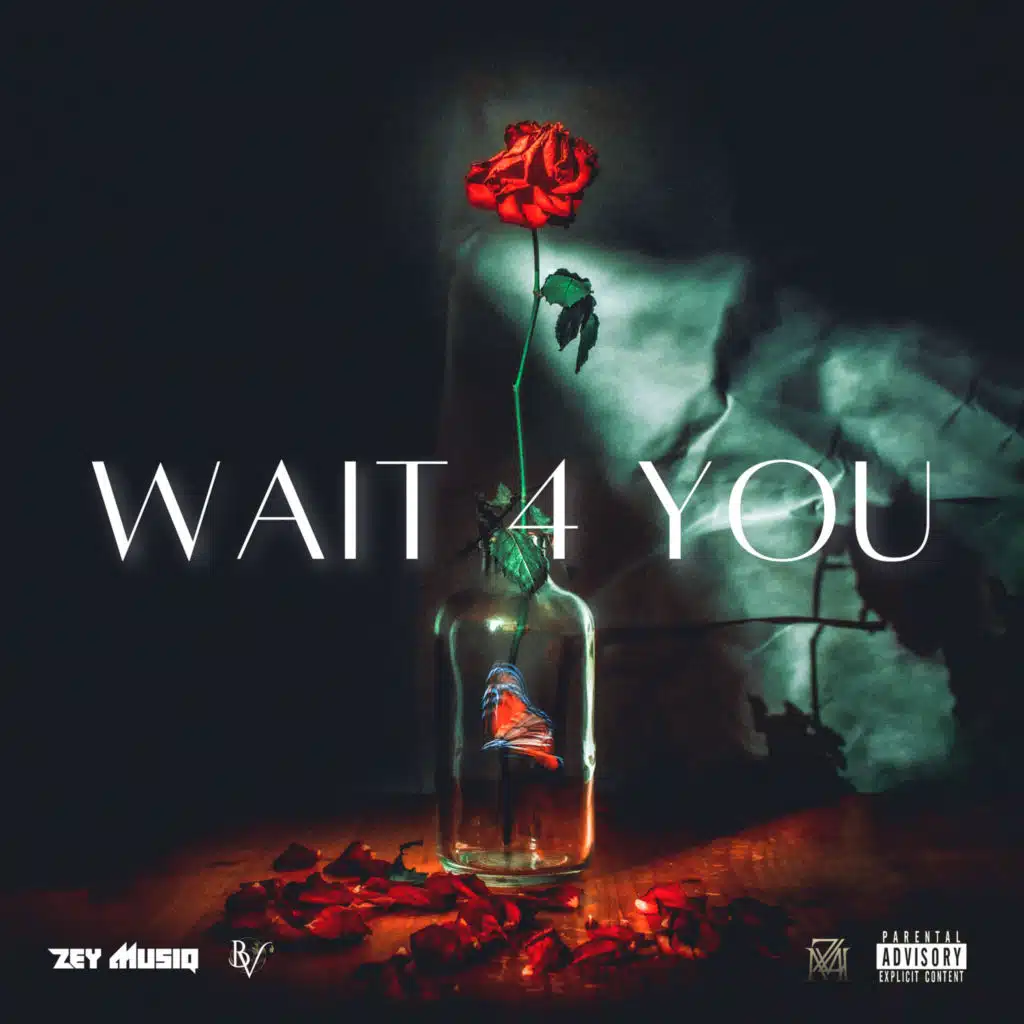Wait for You (Radio Edit)