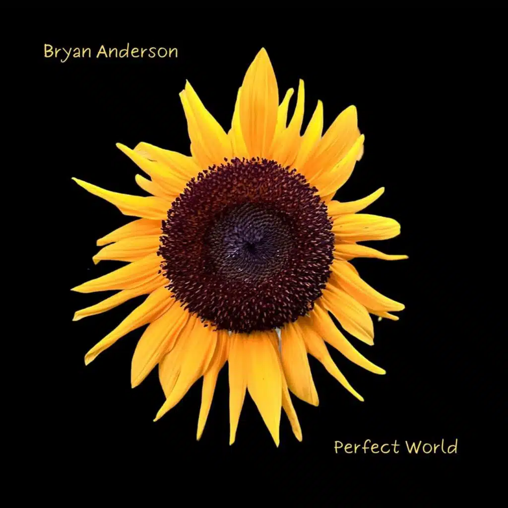 Perfect World