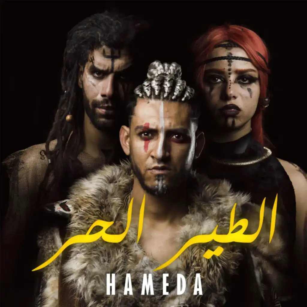 Hameda