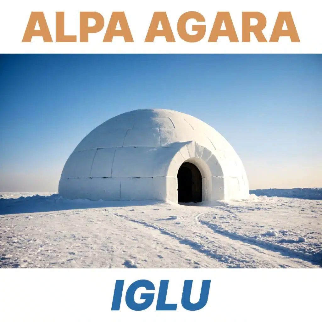 Iglu