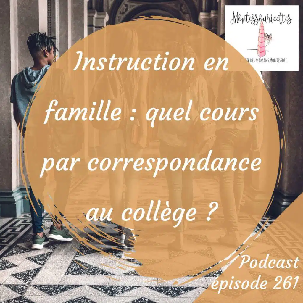 261. Instruction en famille : quel cours par correspondance au collège ?