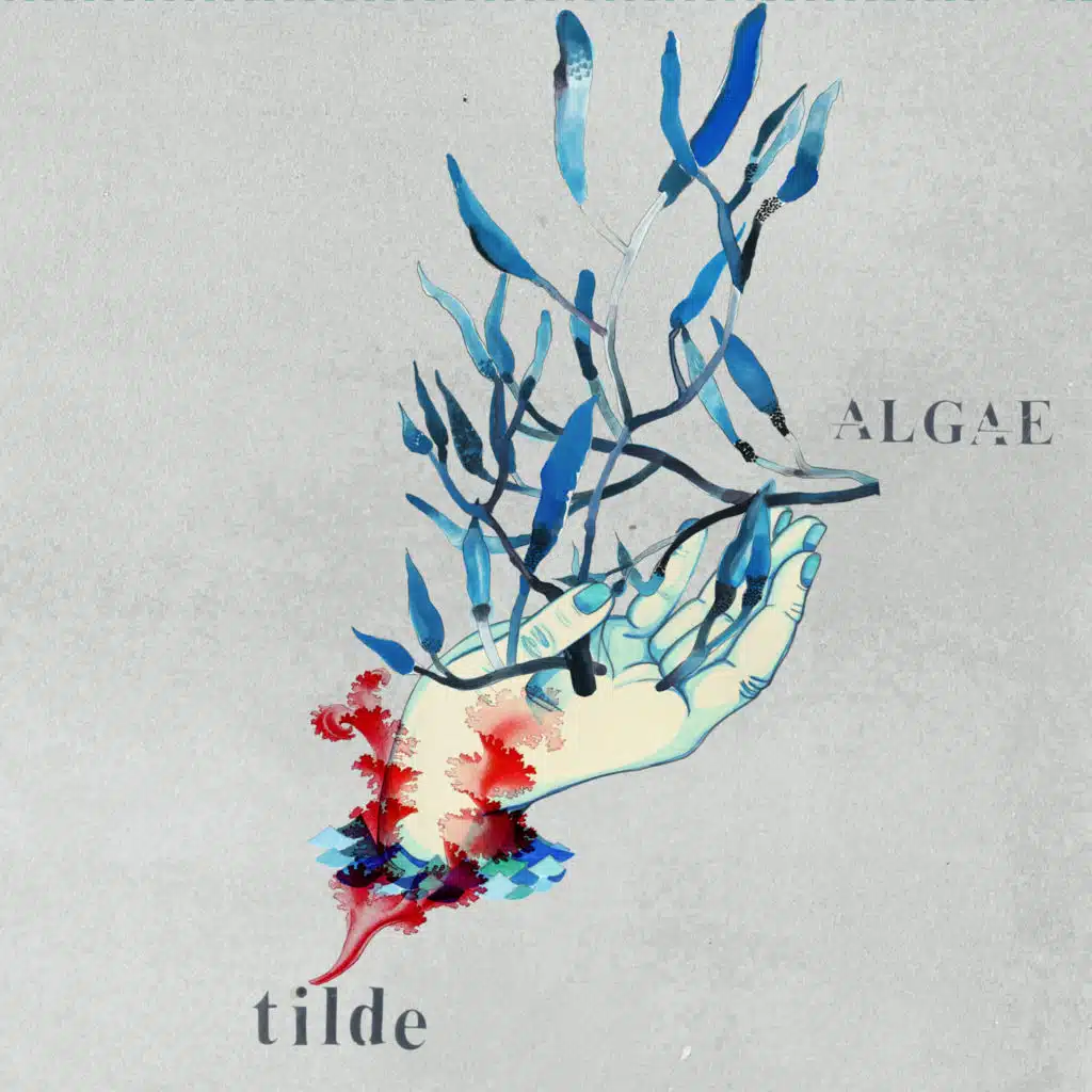 Algae