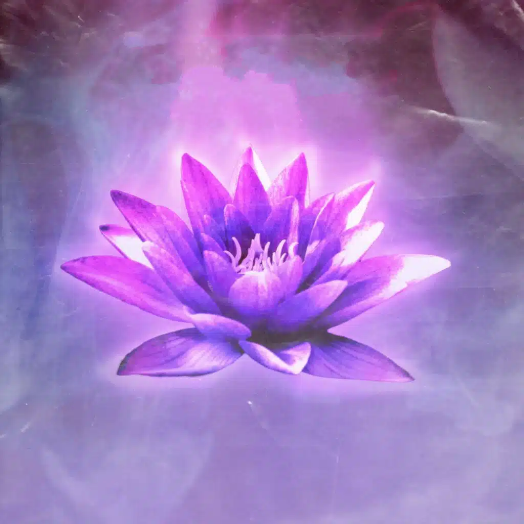 Searching For Separation